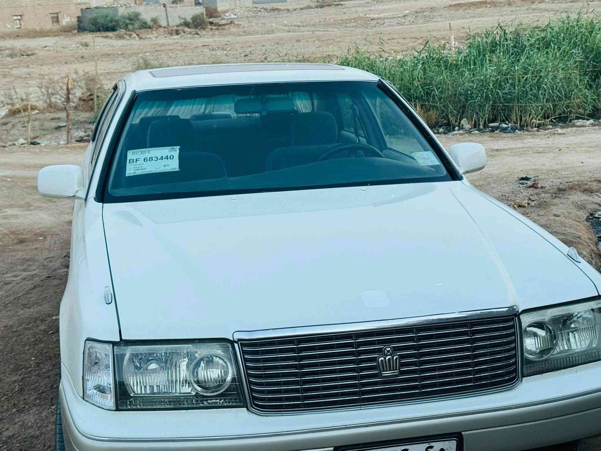 راس الثور • مكفوله • باكيت