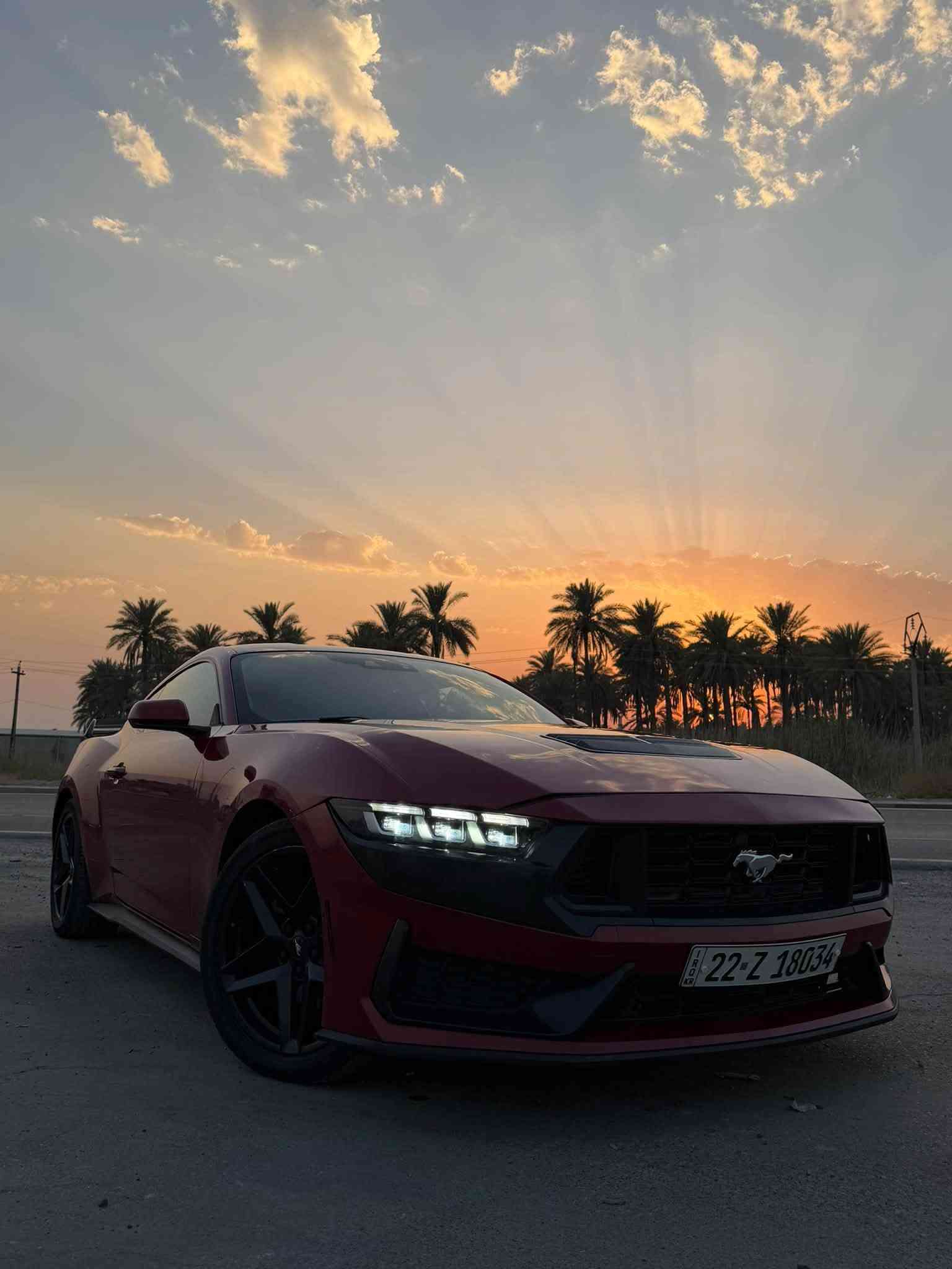موستانغ ايكو • ٢٠٢٤ • ٢٠٠٠٠ ميل