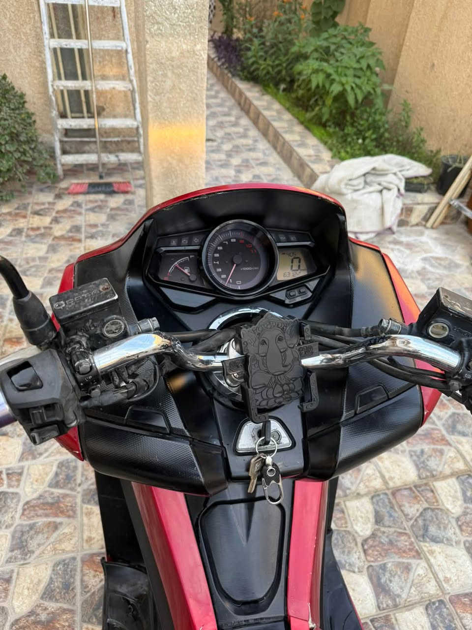 اللهم صل على محمد وآل محمد
السلام عليكم 
دراجه فاز مكينه ربع 250cc
دراجه مكينه مكفوله كفرات نضيفه مكينه نشطه 
زنون بلادي من الرمبه 
لون مميز اوراق
دراجه مابي اي مشكله مكينه ممفتوحه ولا ملعوب بيها 
السعر مليون و٣٥٠ وشوف اسعارها وبيها مجال بعد المعاينه 
مكاني الكوت مركز المدينه 

للستفسار الاتصال على هذا رقم

***********
