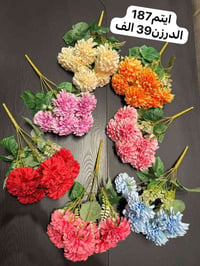 جملة • درزن • زجاجه دوار