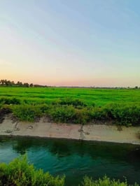 ٢٠ دونم • التاجي العيساويه • ماء وكهرباء