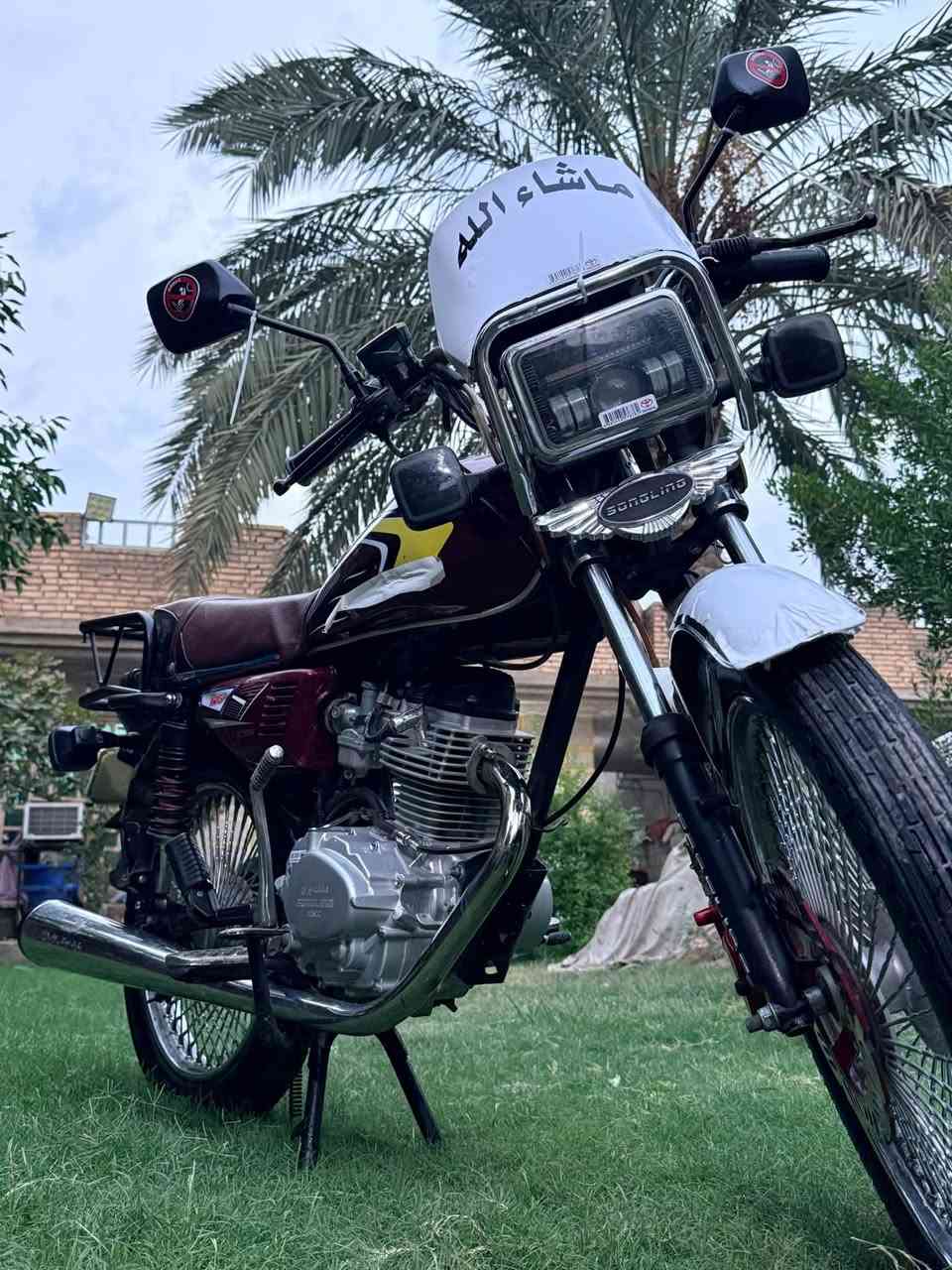 تايگر • ٢٠٢٦ • مكفولة