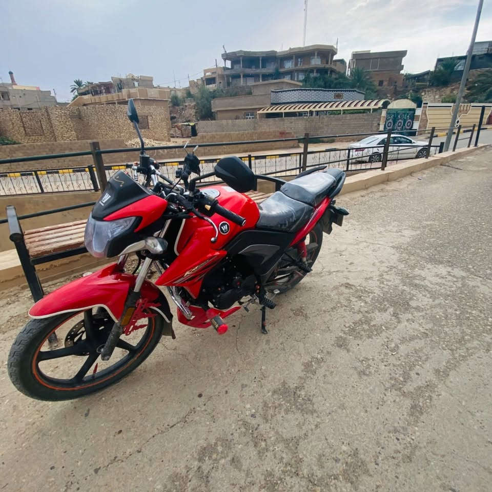 هاوجي 23 • مسجل • لوحات انكليزي