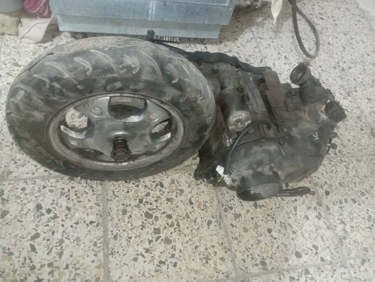 فراشه ماكس • ١٤٠ • طافيه