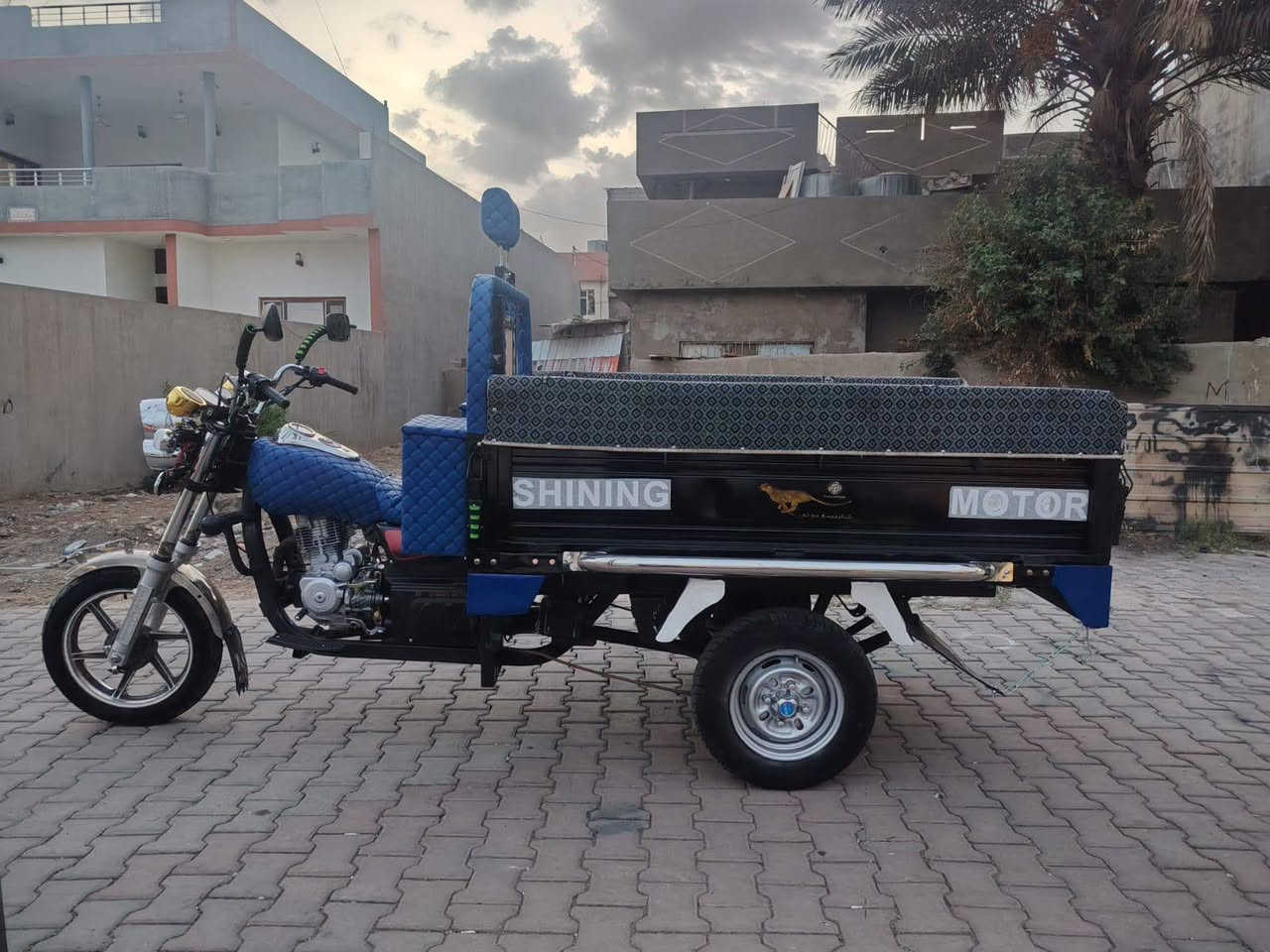 ستوته • ٢٠٢١ • فحل عالي