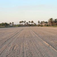 كربلاء الجذار • 9 دونم • نهر سقي