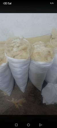 مخاد • صوف نضيف • سعر مناسب
