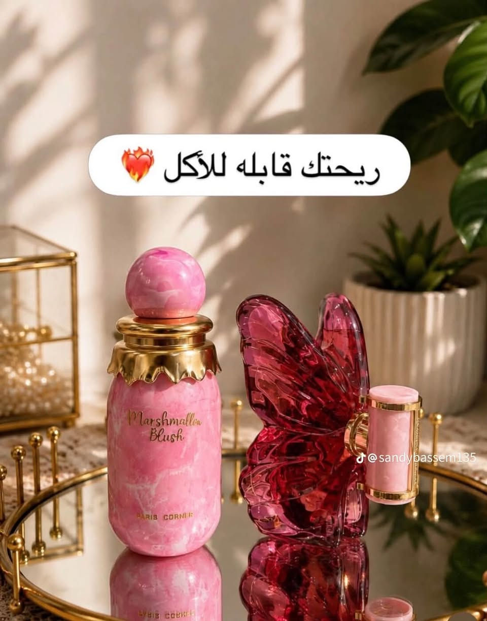اصليه • توصيل المحافظات • نتائج سريعة