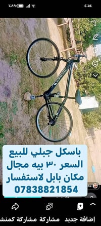 باسكل جبلي • بابل • للبيع