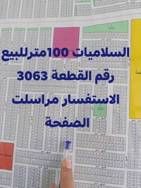 السلاميات • ١٠٠م • قطعة ٣٠٦٣