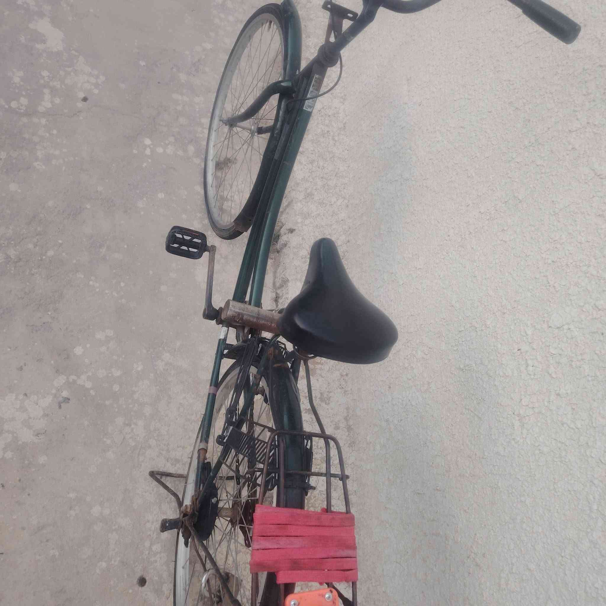 باسكل حجم 26 مكفول و نضيف
سعر 75  وبي مجال هواي 
مكاني كربلاء طريق نجف كربلاء رابط يم علوه لامامين 
الرقم / *********** / يشتغل بس وتساب
