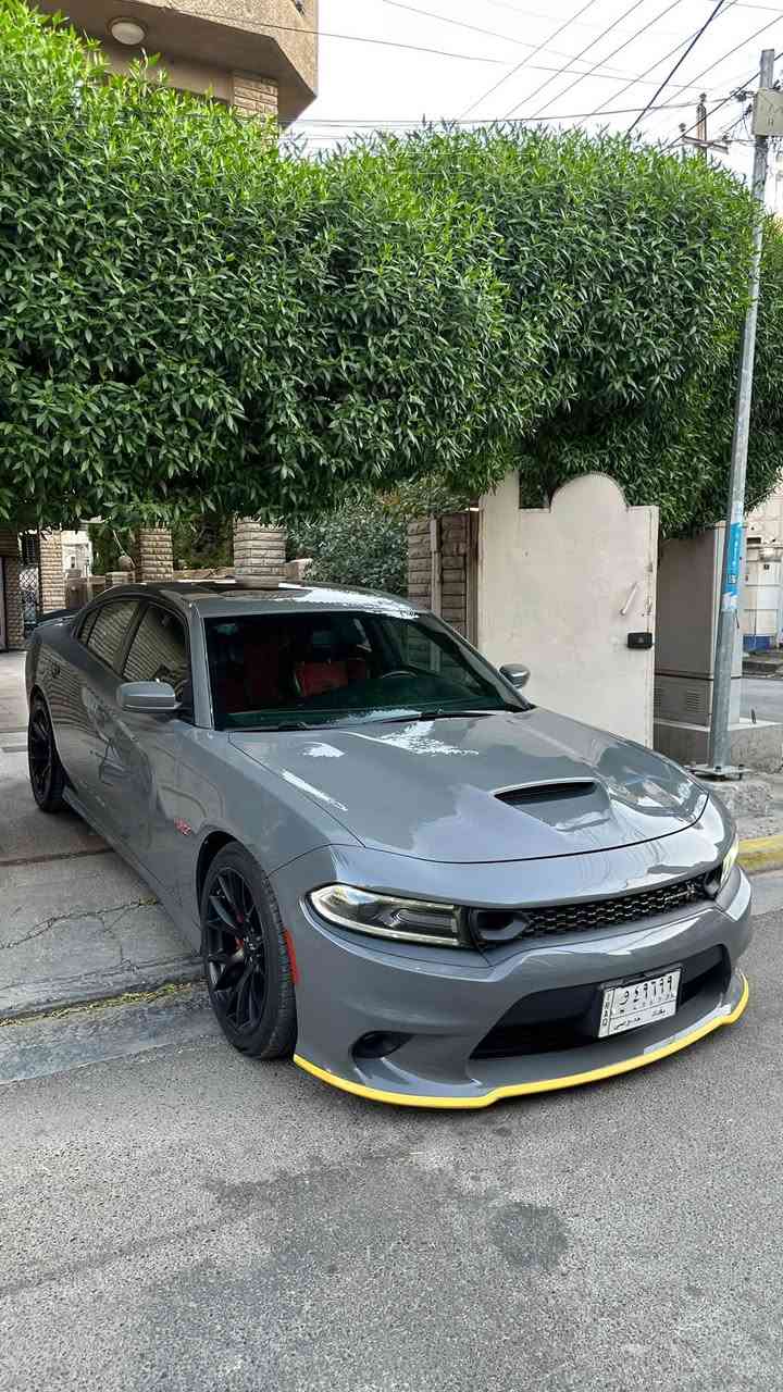 دوج جارجر سكات باك خليجي وكالة 2019
السلام عليكم دوج جارجر سكات باك خليجي وكالة 2019 
للبيع 
محرك 8 سلندر 6400
السيارة ماشية 50 الف كيلو  
مكفولة كفالة عامة بيها تكحيل بسيط بالدعامية الخلفيه كير مكينه مكفول بشرط 

المواصفات :
•   عداد سرعة 300 .
•   نقطة عمياء .
• داخل احمر بلادي .
•   مكابح رياضية (برمبو) .
. LED لايت .
•   فتحت سقف (سلايد) .
•   كاميرا خلفية .
•   امكانية التحكم بوضعيات المقود كهربائيا .
•   كزوز سستم .
•   حساسات خلفية .
•   ويل قياس 20 أنج هيلكات اصلي 
. ALPINE سستم صوت 
•   تشغيل عن بعد
•   ذاكرة لحفظ وضعيات الجلوس (ميموري) .
•   المقاعد الأمامية تبريد وتدفئة .
•   المقاعد الخلفية تدفئة .
•   نظام خرائط GPS .
•   شاشة كبيرة قياس 8.4 أنج اوپشنات SRT
•   تدفئة ستيرن .
•   كير شفتر بالستيرن .
•   جناح خلفي .
•   بلوتوث تلفون .
•   محدد سرعة .

السيارة عليها برمجه وتفريغ سيفتي يم مصطفى ايگل 
سعر 295 ورقة وبي مجال
مكان السياره بغداد السيدية  
للاستفسار ***********
