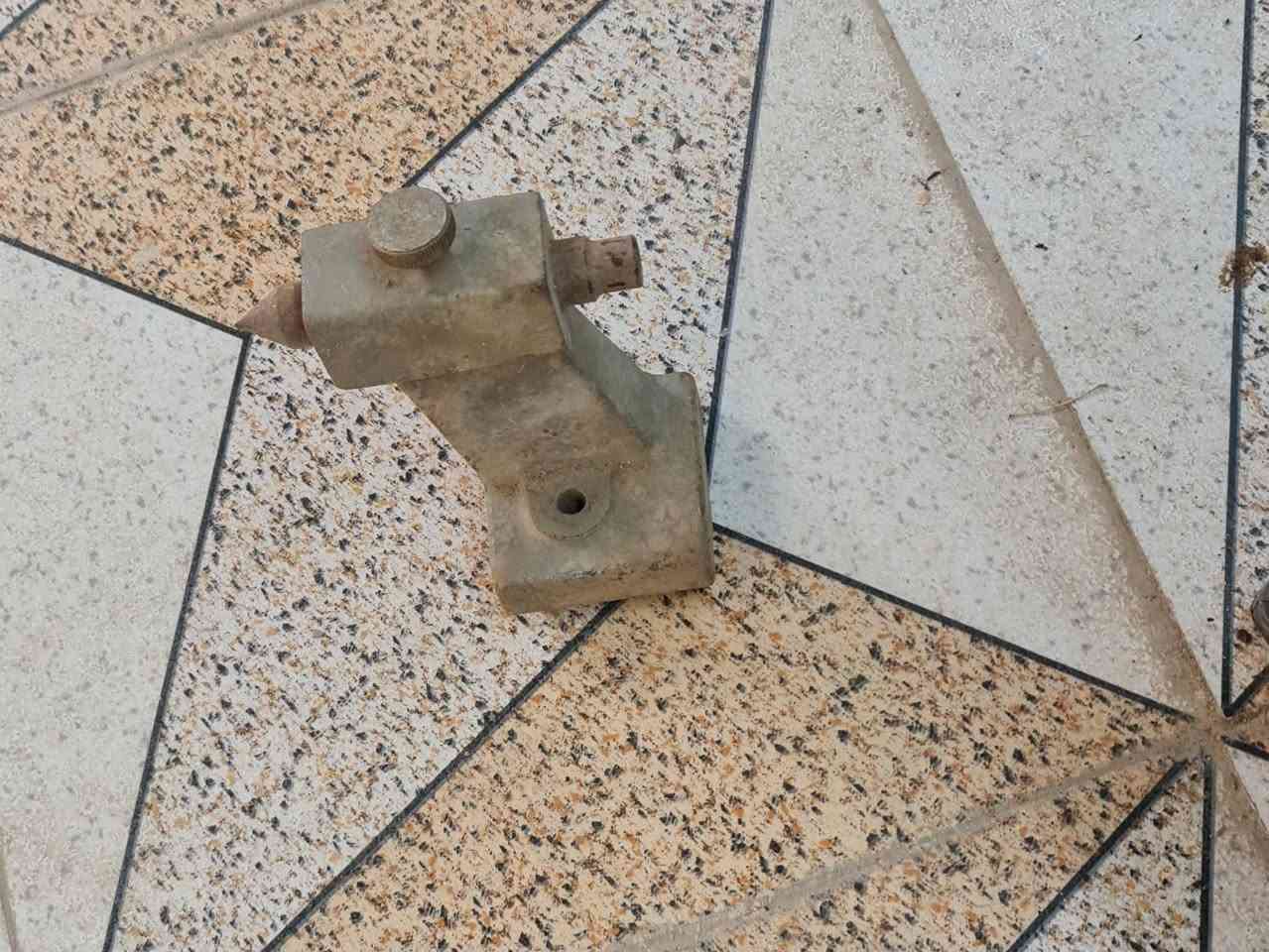غراب • متحرك • صغير