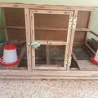 قفص • للبيع