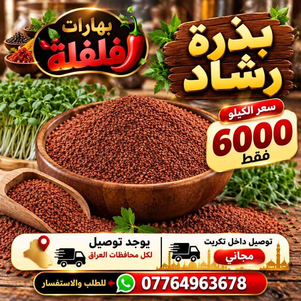 بهارات فلفلة • توصيل لكل المحافظات • توصيل مجاني