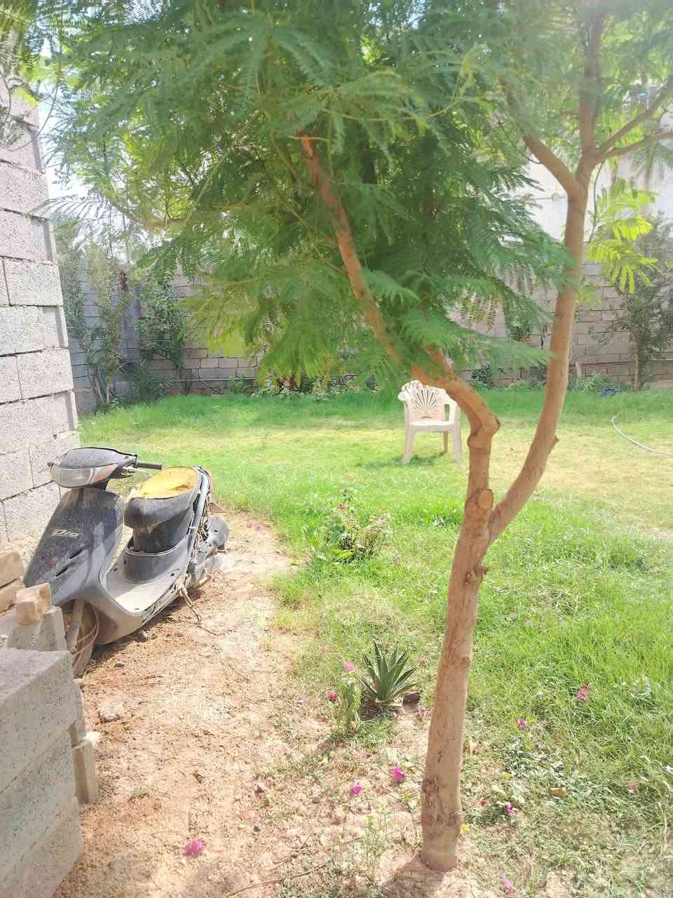 الرمادي الصوفيه • طابو زراعي • ٢٢٨م