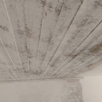 لبخ بياض • واجهات • واتس