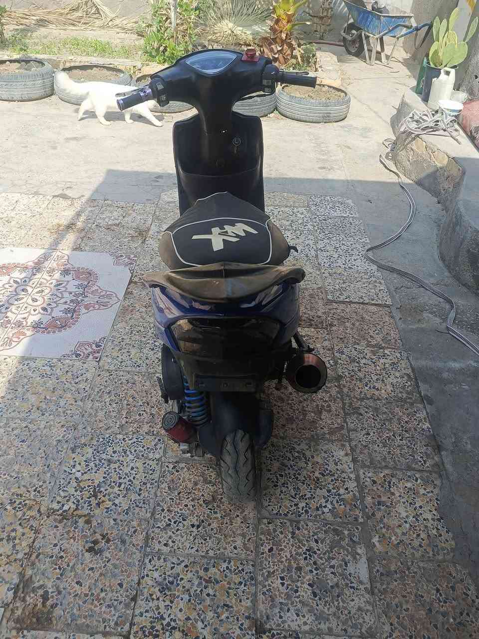 نضيفه • مراوس • كرمة ابن سعيد