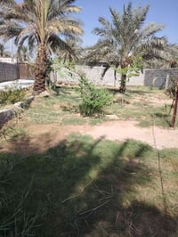 دار • ٩٠٠م • شارع ابو مهدي