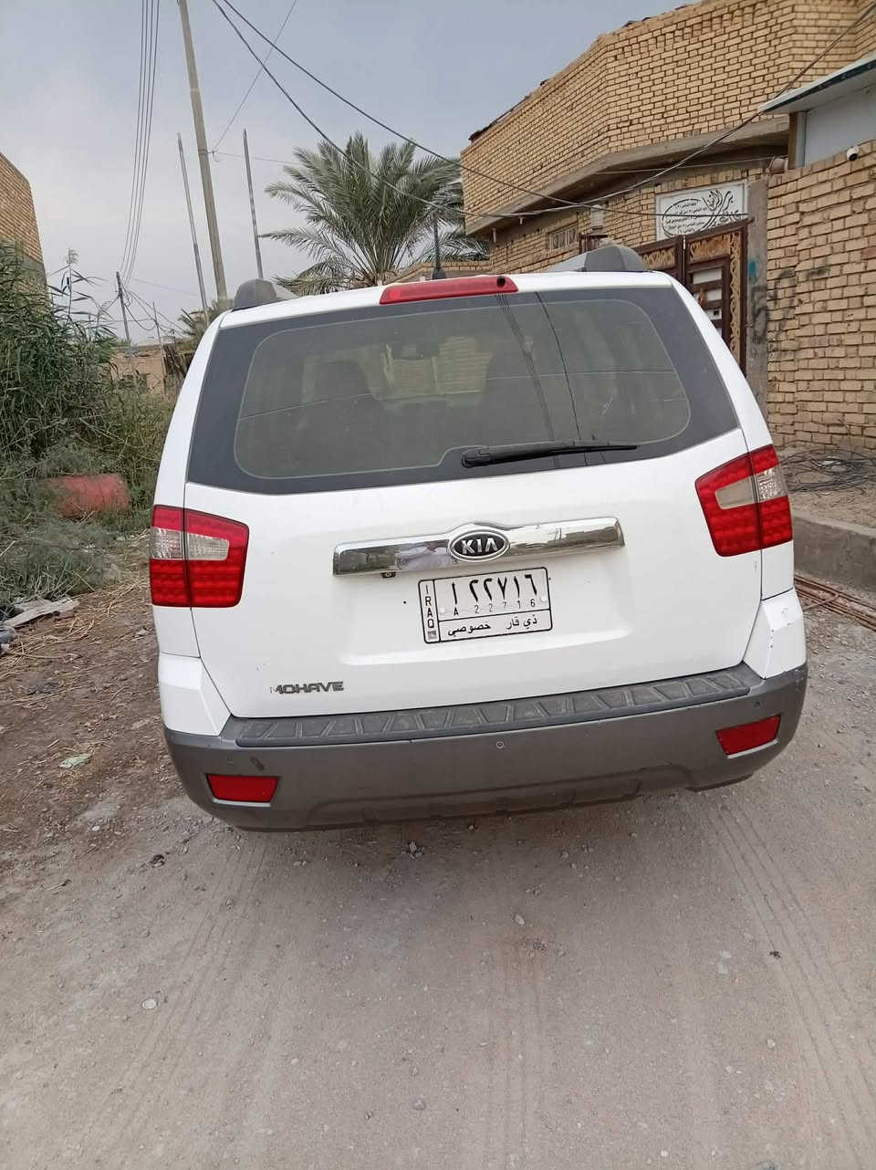 موهافي • ٢٠١٠ • كفالة عام