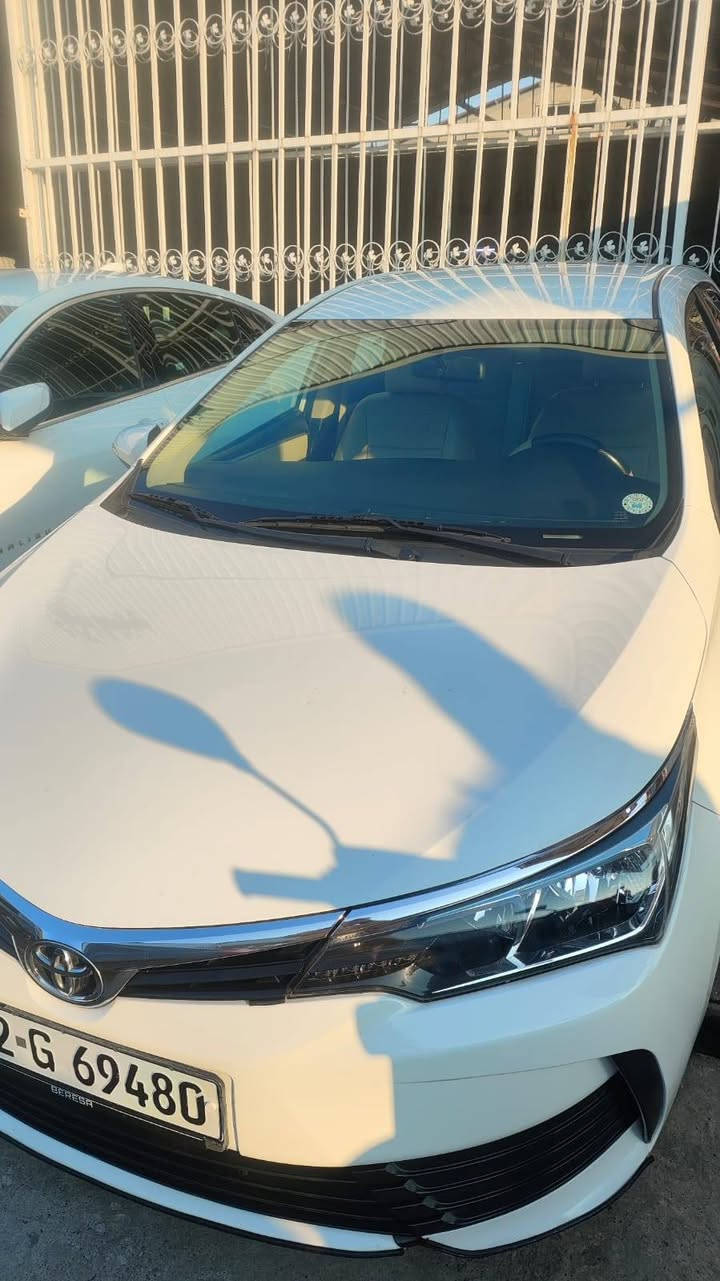 كورلا خليجي 2019
ياباني وكالة ساز 

رقم اربيل
بيها جاملغ امامي تبديل 
وبارد مكانين والباقي مكفول 

مكانها بصرة 

للتواصل ***********
