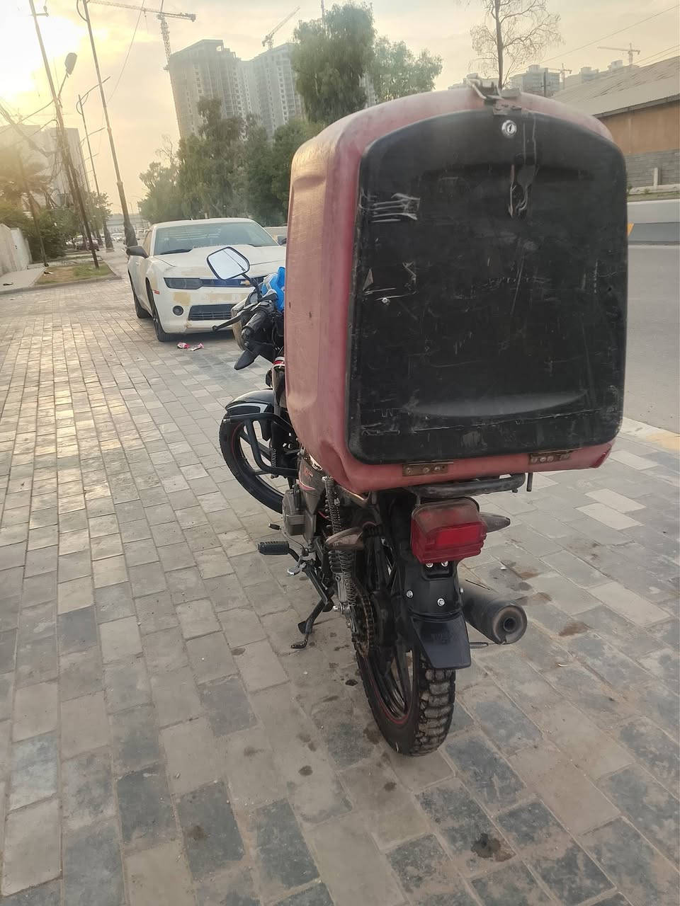 شاينك • مرقم • رقمي