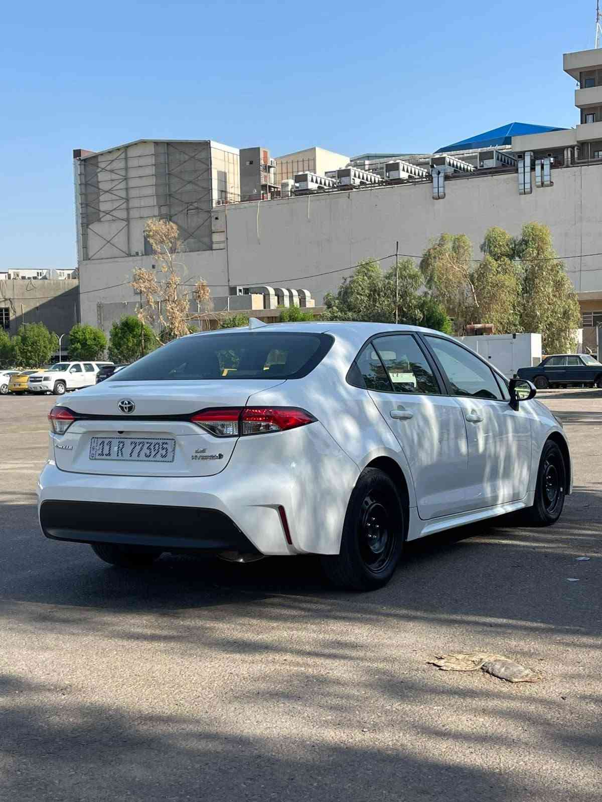 كورلا هايبرد • ٢٠٢٤ • بدون ايرباك