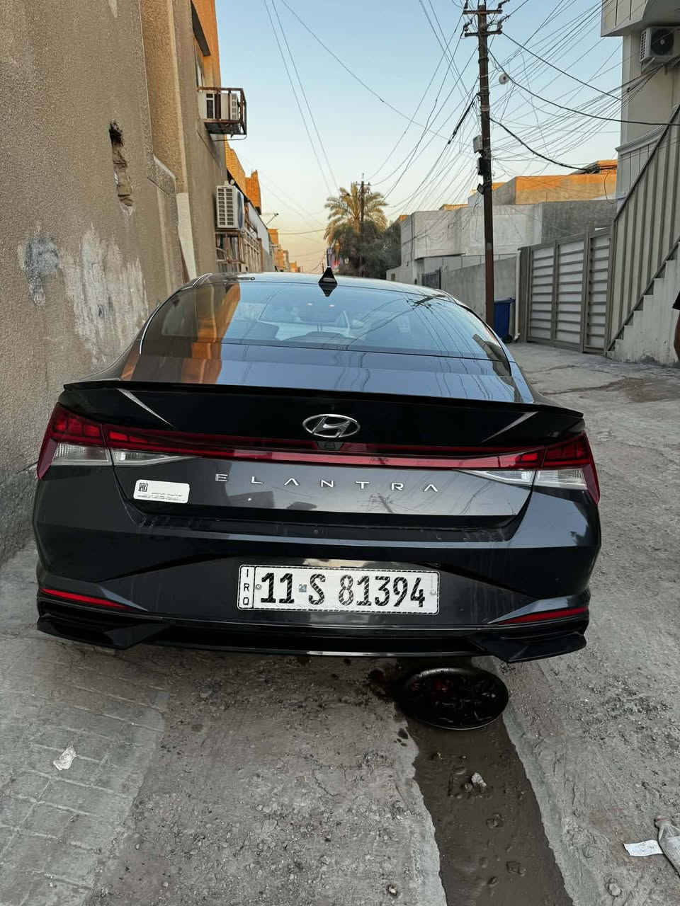 النترا • ٢٠٢١ • وارد امريكي