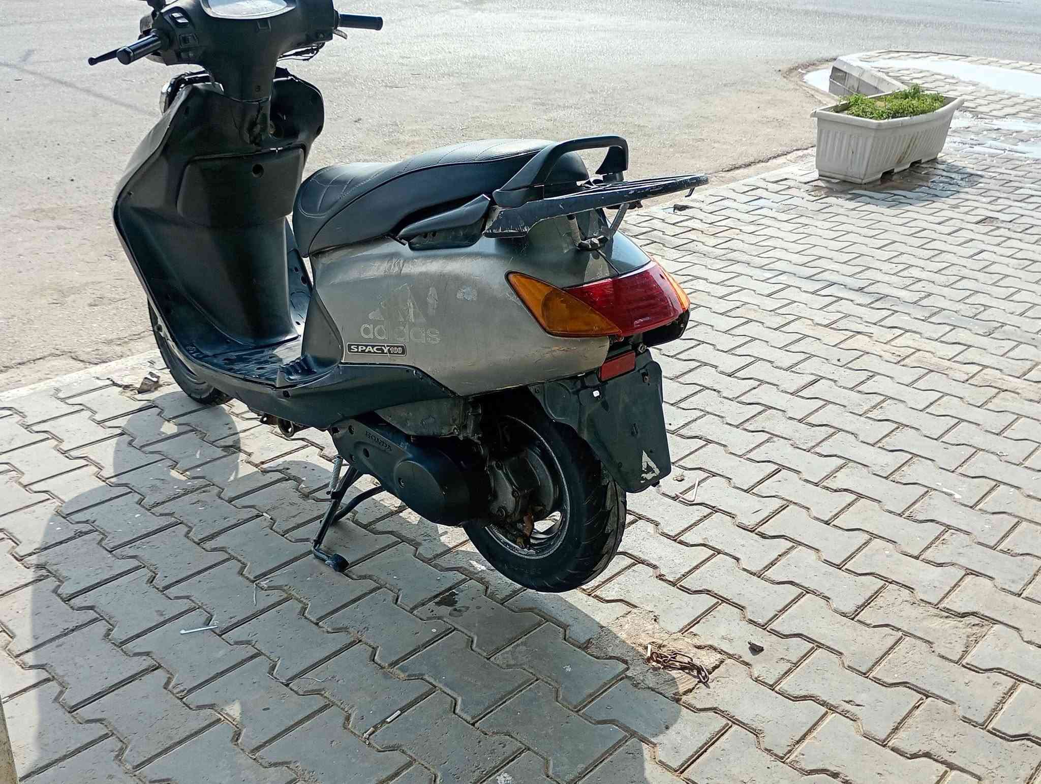 سبيسي • ياباني • مفتوحه