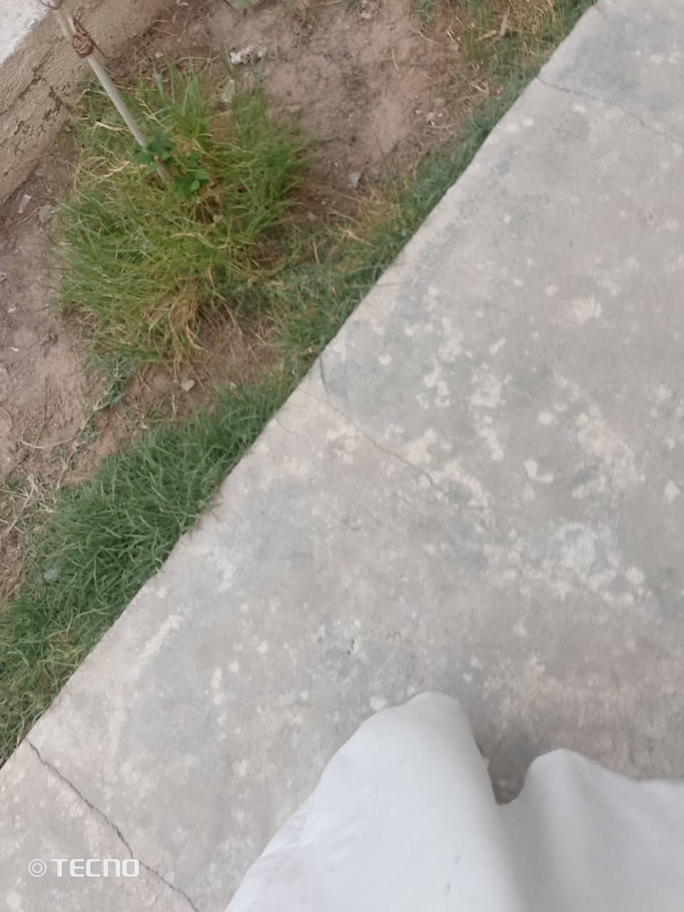 سوناته 15شكل16وارد امريكي لون اسود دواخل مثل ماموضح مكينه جي دي اي 2400بسمي سنويه نهاية27بيه ضربه بلمدكر لخلفي جهت سايق بيه صبق سياره بس سياره حلوى وناعمه بشكل اي ستفسار عل هذا رقم ***********

نص مكتوب في الصور:
- TECNO