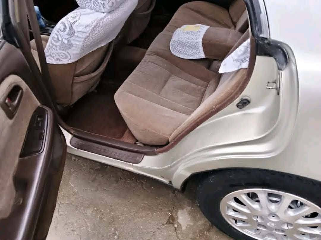 شيزر نفخ سياره كفالة عامه كص وضربه
مكينه ونجي 

كير وحداديه جديد 

تبريد شغال 

غرفه جديده 

سياره ما عايزه 

الاستفسار عل رقم ***********
