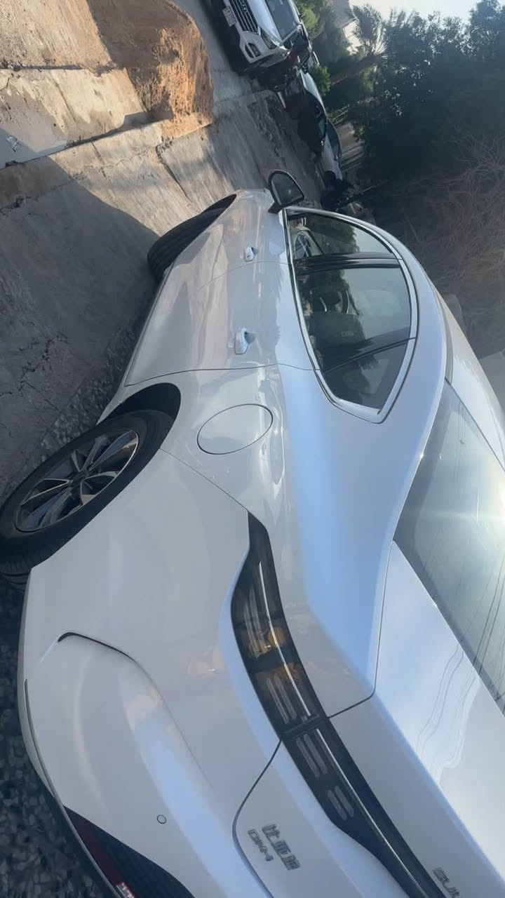 دستروير • ٢٠٢٦ • مرقم بغداد