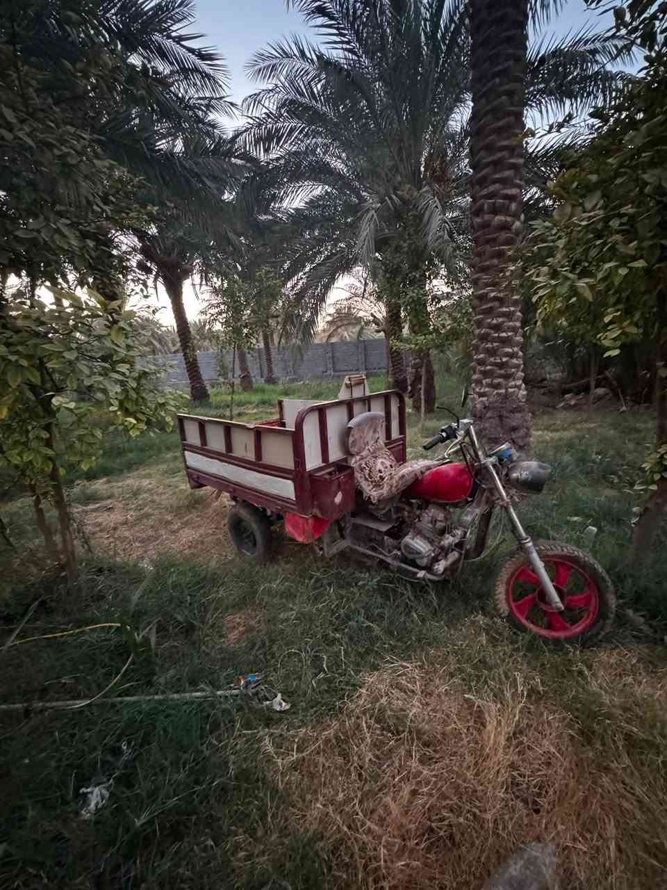 السلام عليكم ستوته البيع ستوته نضيفه بس متروكه شغله كلشي مابيه  (الستوته سنويه موجوده مالته)السعر 800الاتصال /***********
