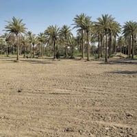كربلاء الدويهية • دونم • واجهة ٤٠م