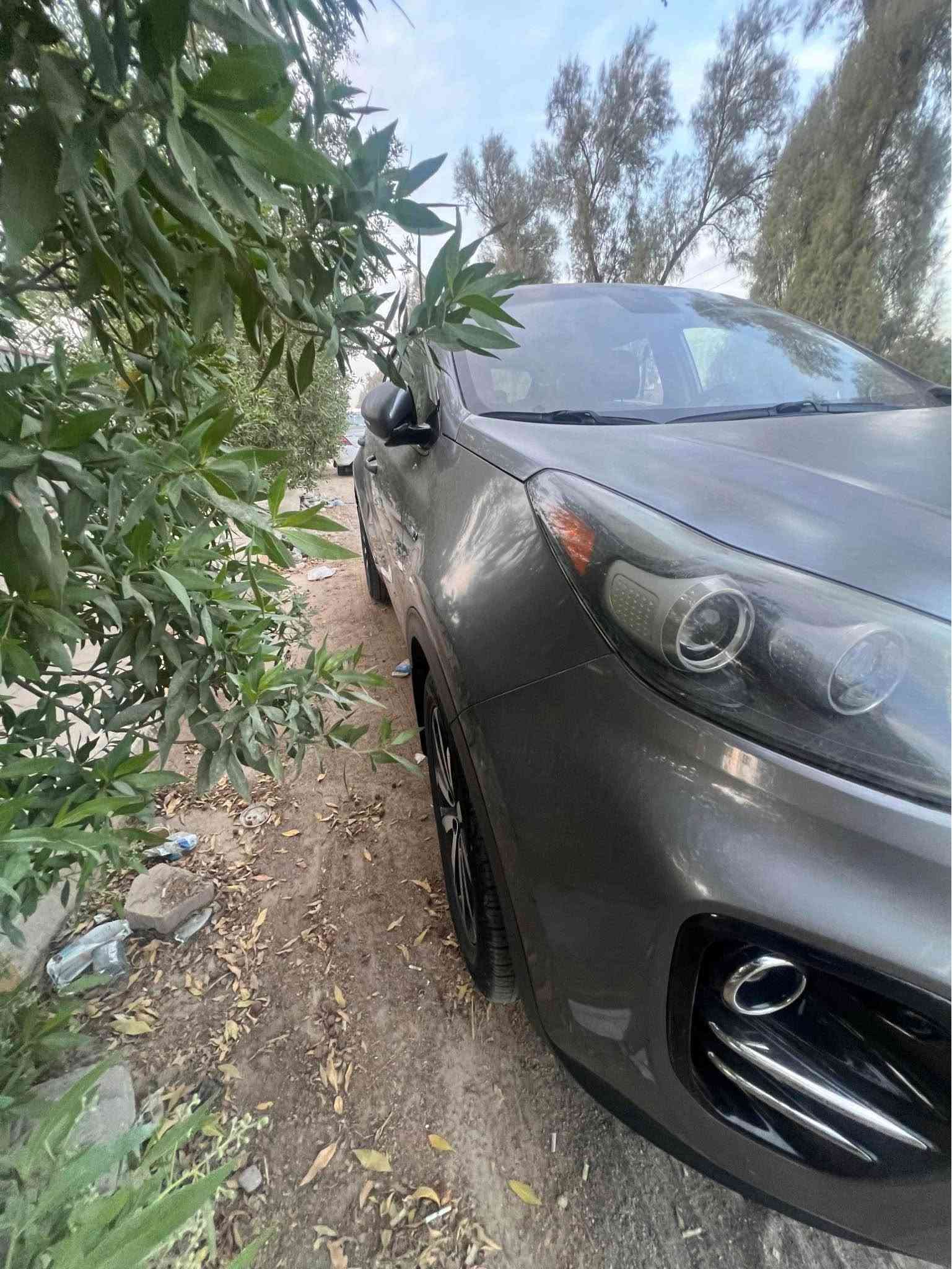 سبورتج • ٢٠١٧ • رقم بغداد
