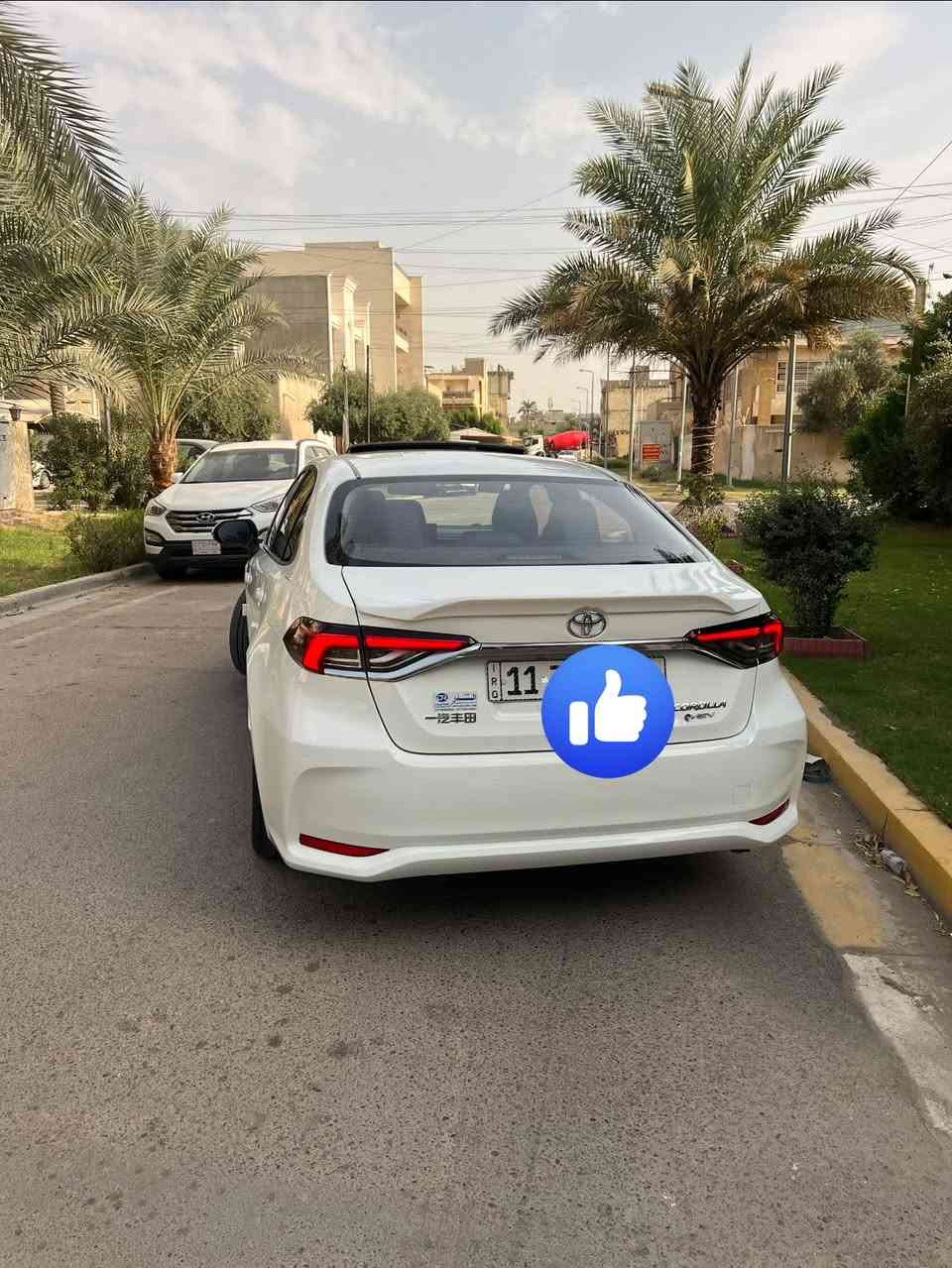 كورلا ٢٠٢٥ • سياقة ذاتية • جلد أسود