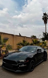 موستانغ بولت • ٥.0 • رقم اربيل