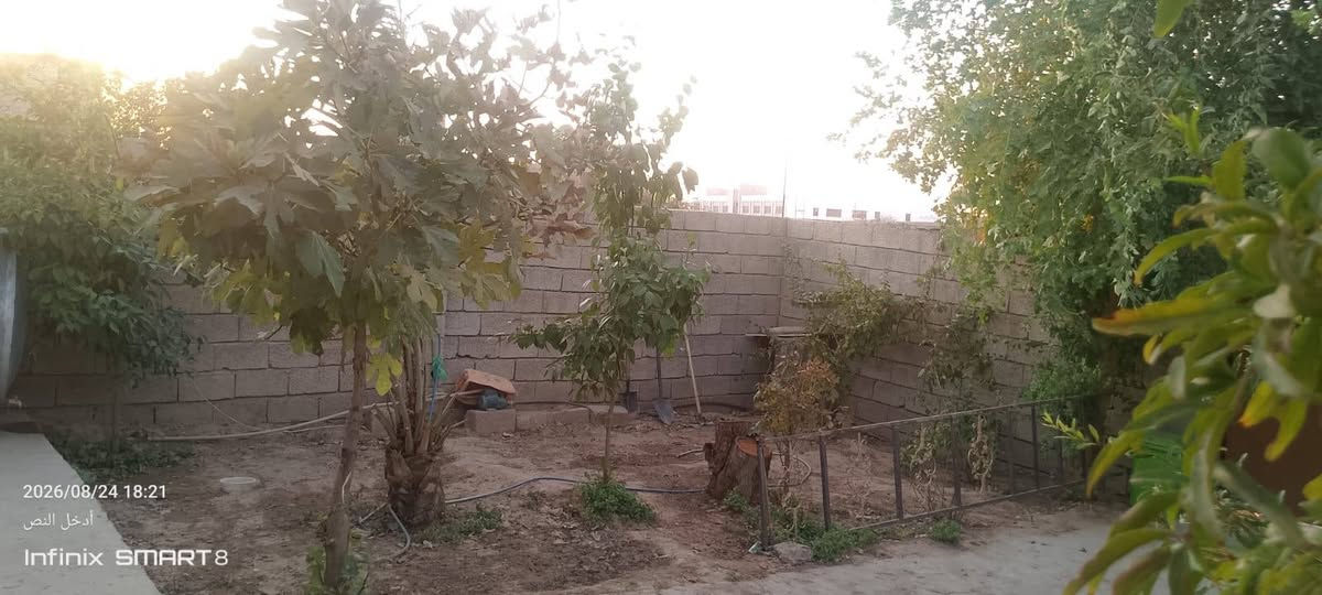 بيت للبيع مساحته 200م في حي الاسمده متكون من غرفتين وديوان ومطبخ وصحيات 2وحديقه وكراج للأستفسار أكثر  الاتصار على الرقم ***********
