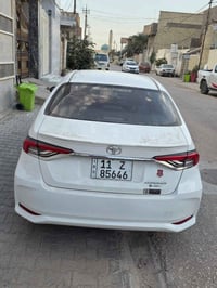 كورلا ٢٠٢٤ • مكفوله • رقم بغداد