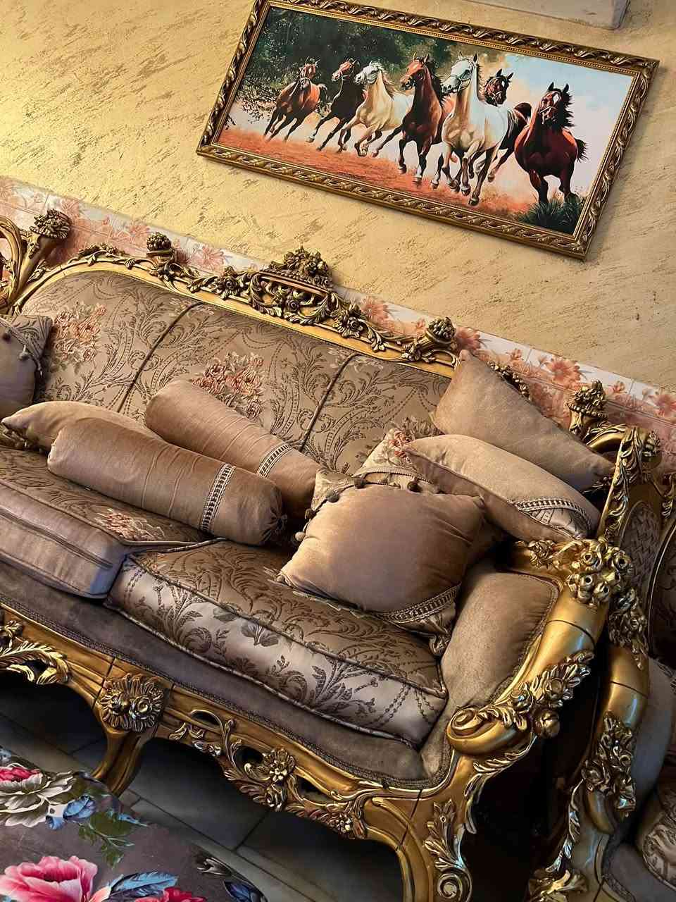 تخم زان للبيع الاتصال على الرقم ***********
