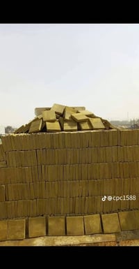 فرشي خضراوي • درجة أولى • ١٢٠٠