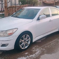 جنيسز ٢٠١٤ • ارقام انكليزي • كشنات جلد
