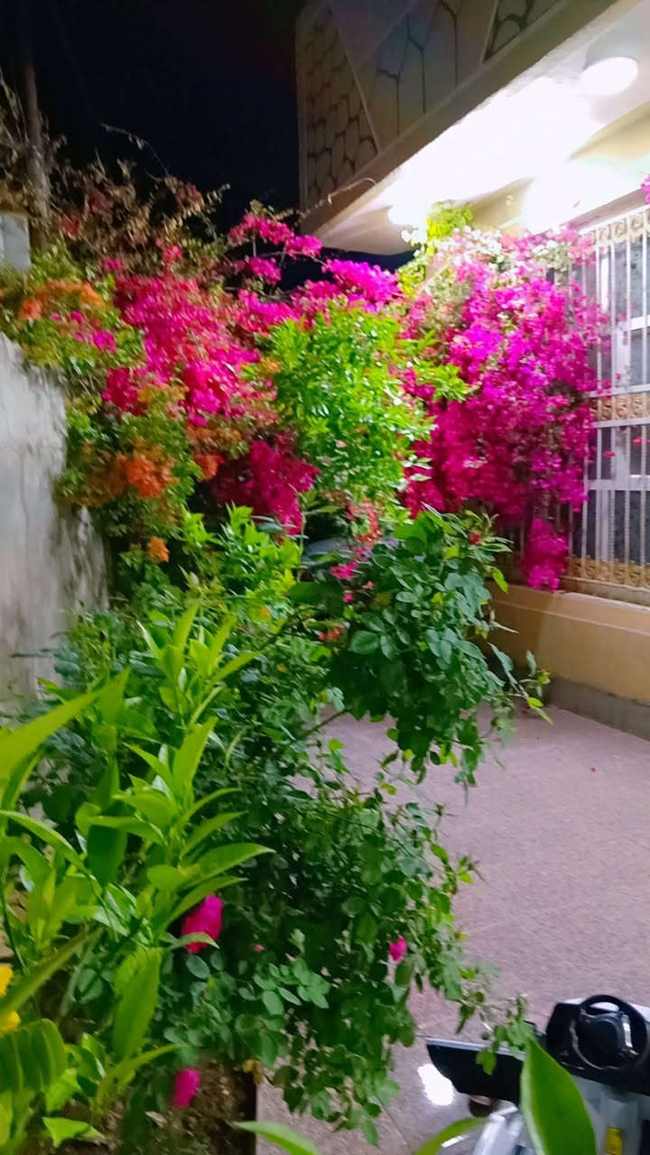 بيت للبيع مساحه ٥٠٠ متر طابو ٢٥ خدمات كامله المكان عوفي مقابيل عيادة دكتور احمد صباح بيت حديث جاهز كامل هدوء امان لتواصل وتساب او اتصال ***********
