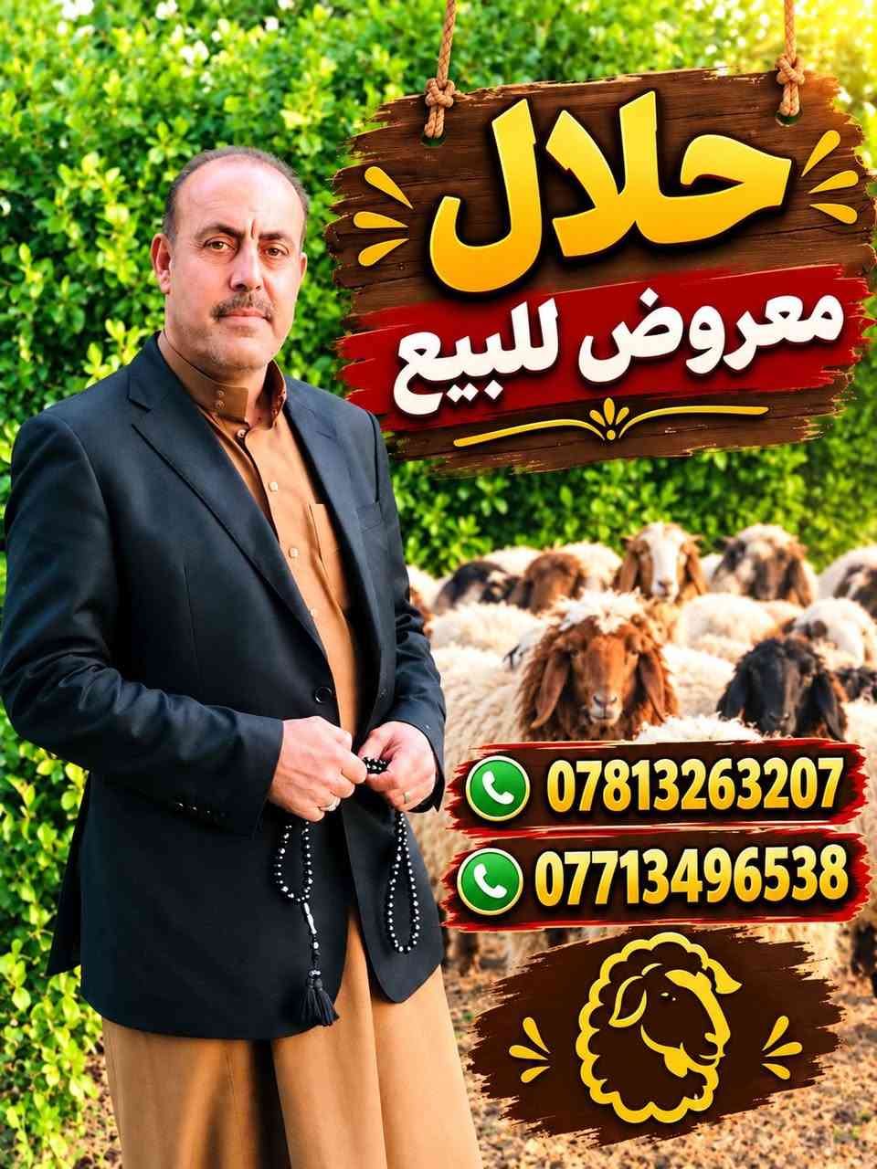 نعاج امهات ثالث ناصحات وحده حاطه وثانيه حانيه السعر 900 المكان الانبار حديثه الارقام موجوده بالصوره بيهن وتساب توصيل ماعندي خارج حديثه بس داخل والي عنده توصيل يتصل ويدلل

نص مكتوب في الصور:
- حلال معروض للبيع *********** ***********