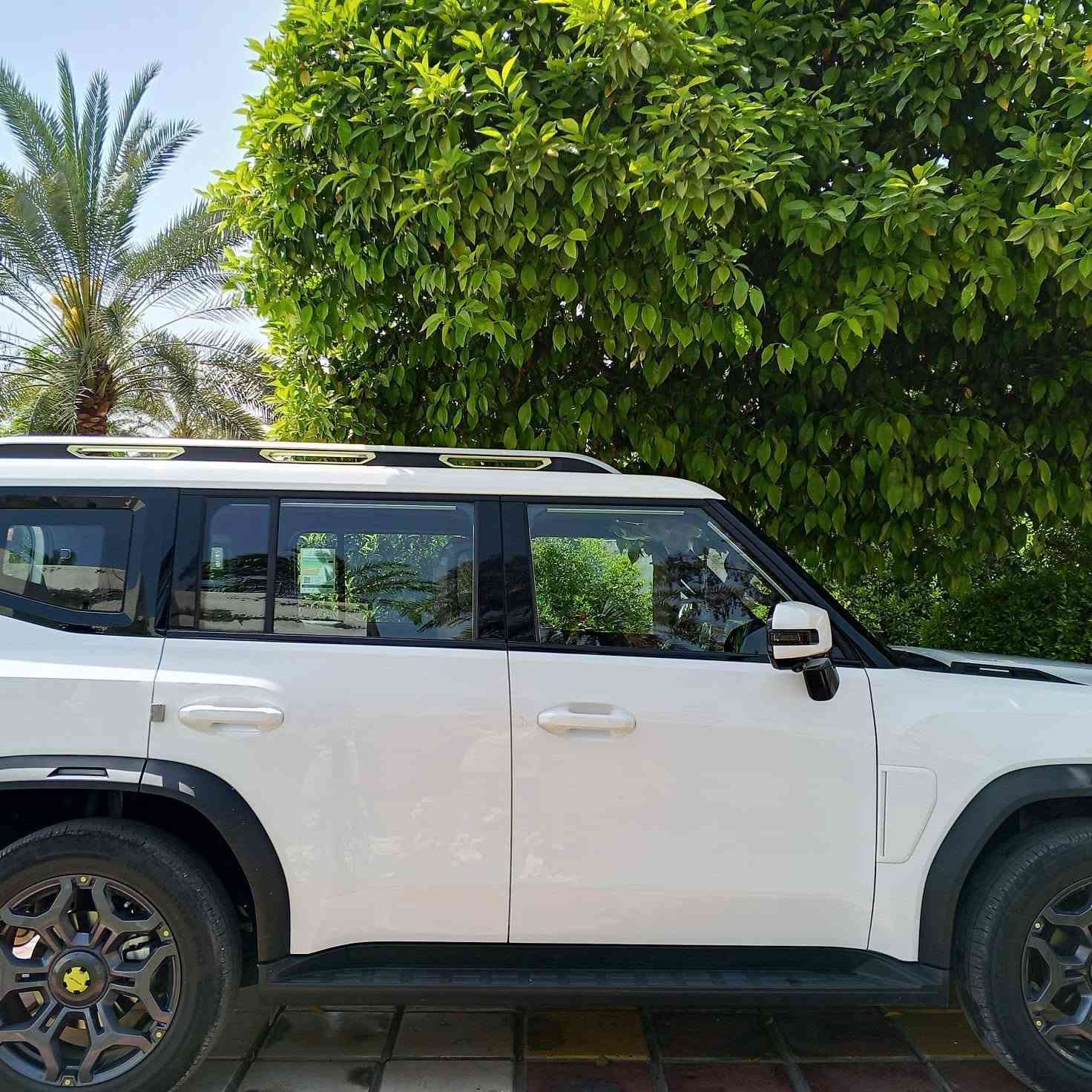 السلام عليكم جيتور ٢٠٢٥T2
سياره ماخذيه صفر كيلو حالياً ماشيه ٢٧
سياره فول ١/١
بيه هاي طخه بسيطه فقط 
مكانه بغداد الراشديه
سعر٢٥٠ وبيه مجال 
***********
رقم بغداد
