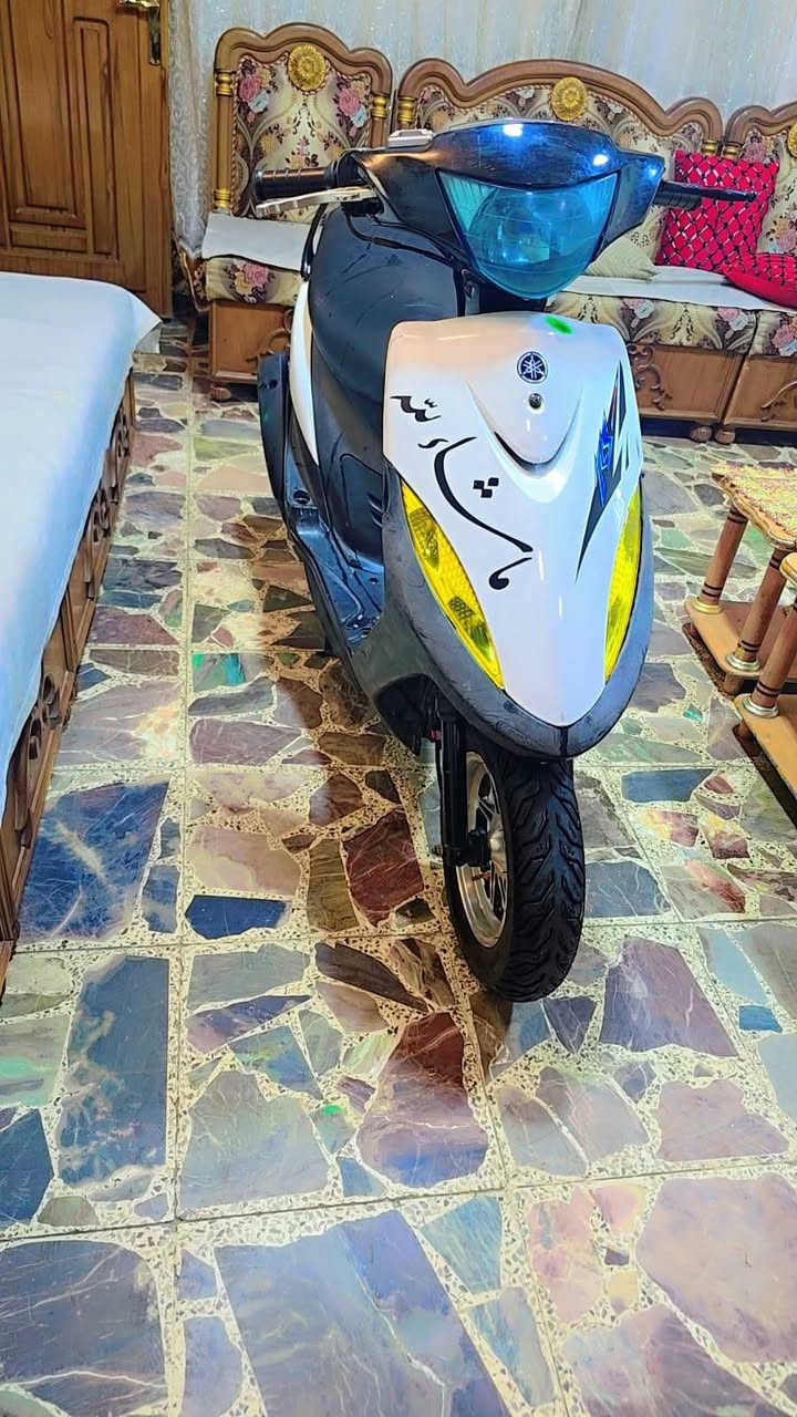 سكنس • مامفتوحه • سلف