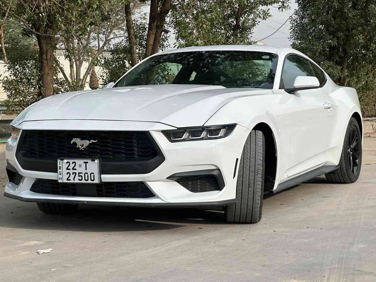موستانغ ايكوبوست • ٢٠٢٥ • رقم اربيل