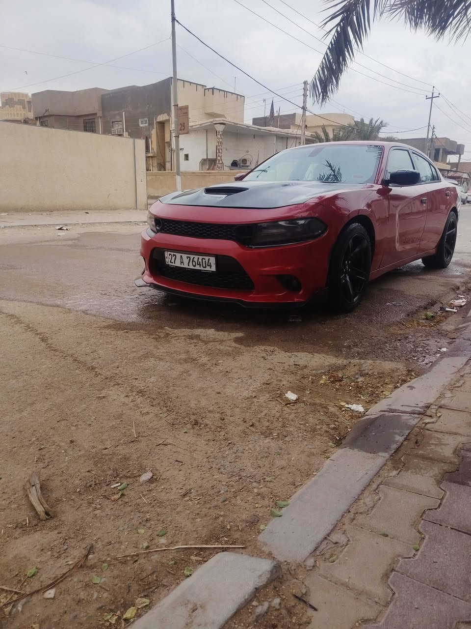 جارجر RT5700 • ٢٠١٧ • كشنات جلد