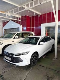 اخوان سيارة نوع BYD  بي وايدي جن ايل فول مواصفات اخر موديل 2025  كاملة...