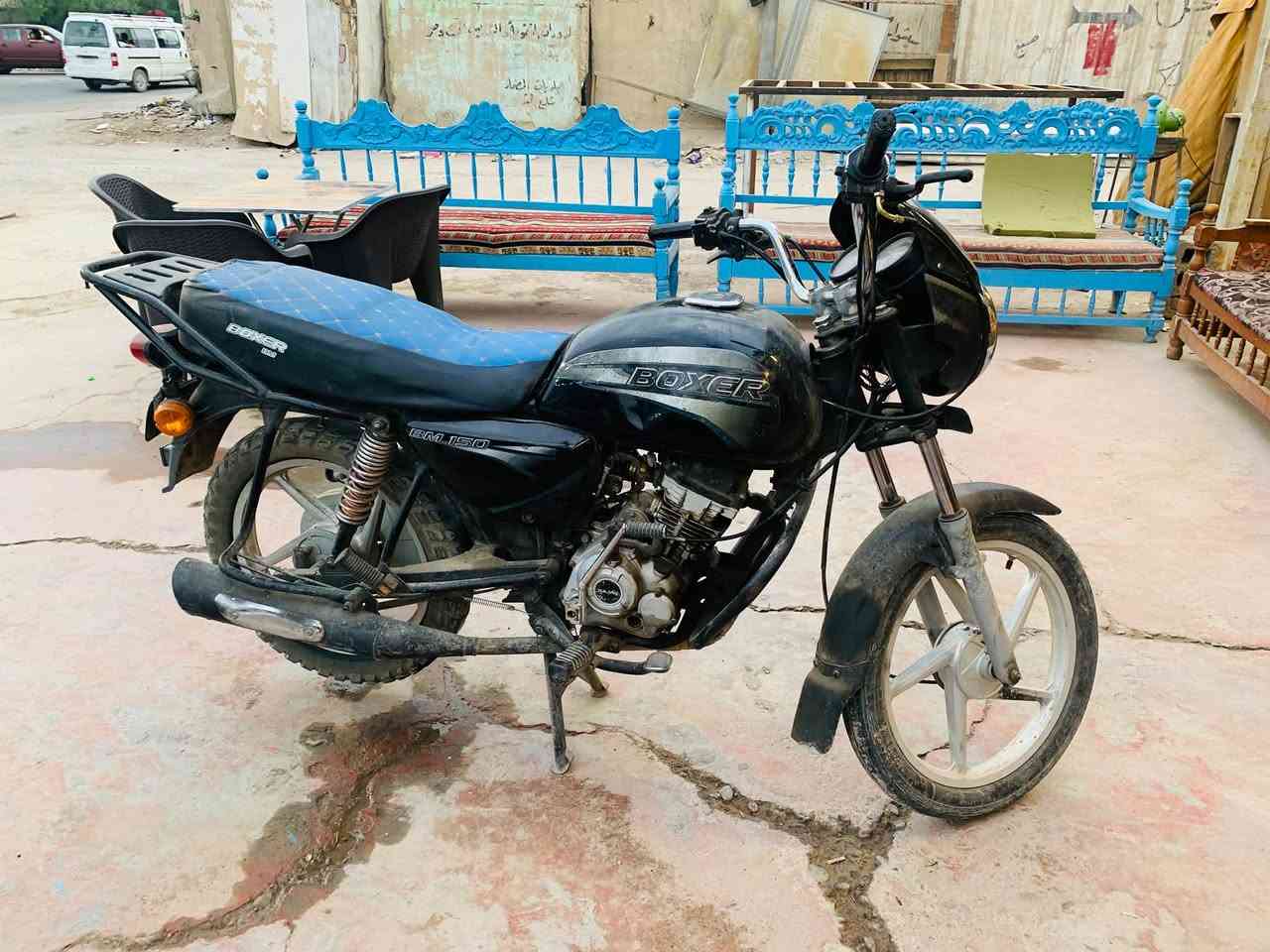 بوكسر • چواكيچ • ٢٠١٩